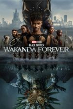 Watch Black Panther: Wakanda Forever Megavideo