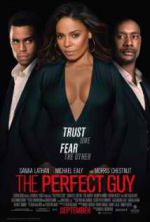 Watch The Perfect Guy Megavideo