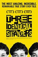 Watch Three Identical Strangers Megavideo
