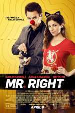 Watch Mr. Right Megavideo