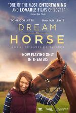 Watch Dream Horse Megavideo