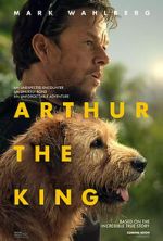 Watch Arthur the King Megavideo