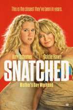 Watch Snatched Megavideo