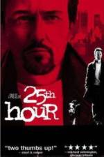 Watch 25th Hour Megavideo