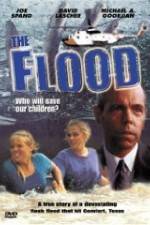 Watch The Flood: Who Will Save Our Children? Megavideo