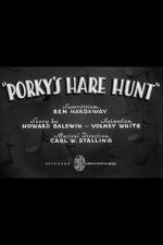 Watch Porky\'s Hare Hunt Megavideo