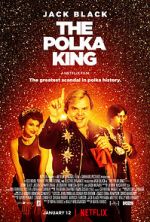 Watch The Polka King Megavideo