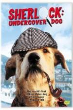 Watch Sherlock Undercover Dog Megavideo