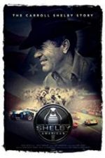 Watch Shelby American Megavideo