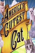 Watch America's Cutest Cat Megavideo