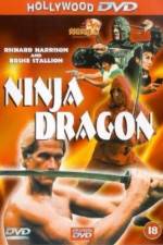 Watch Ninja Dragon Megavideo
