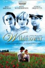 Watch Wildflower Megavideo