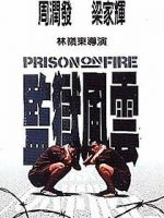 Watch Prison on Fire Megavideo