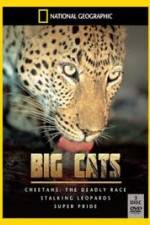 Watch National Geographic: Living With Big Cats Megavideo