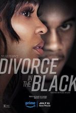 Watch Tyler Perry's Divorce in the Black Megavideo