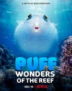 Watch Puff: Wonders of the Reef Megavideo