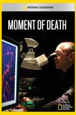 Watch National Geographic Moment of Death Megavideo