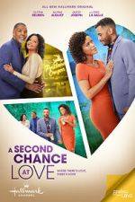 Watch A Second Chance at Love Megavideo