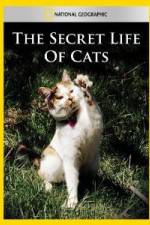 Watch National Geographic The Secret Life of Cats Megavideo