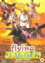 Watch Flying Dagger Megavideo