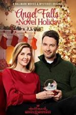 Watch Angel Falls: A Novel Holiday Megavideo