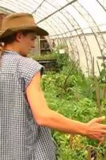 Watch Green House Seeds Strain Hunters India Expedition Megavideo