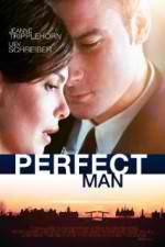 Watch A Perfect Man Megavideo