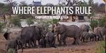 Watch Where Elephants Rule Megavideo