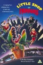 Watch Little Shop of Horrors Megavideo