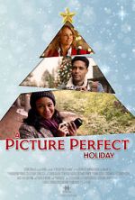 Watch A Picture Perfect Holiday Megavideo