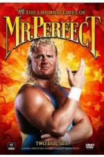 Watch The Life and Times of Mr Perfect Megavideo