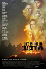 Watch Life Is Hot in Cracktown Megavideo