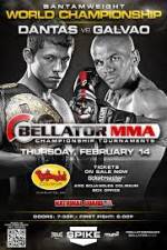 Watch Bellator Fighting Championships 89 Megavideo