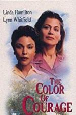 Watch The Color of Courage Megavideo