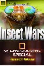 Watch National Geographic Insect Wars Megavideo