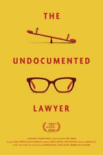 Watch The Undocumented Lawyer Megavideo