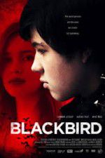 Watch Blackbird Megavideo