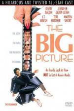 Watch The Big Picture Megavideo