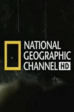 Watch National Geographic Night Stalkers Hyena Gangs Megavideo