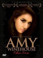 Watch Amy Winehouse: Fallen Star Megavideo