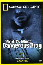 Watch Worlds Most Dangerous Drug Megavideo