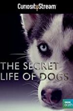 Watch Secret Life of Dogs Megavideo