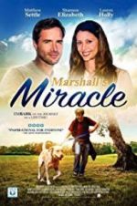 Watch Marshall\'s Miracle Megavideo