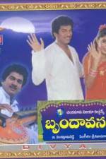 Watch Brundavanam Megavideo