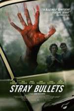 Watch Stray Bullets Megavideo