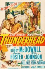 Watch Thunderhead: Son of Flicka Megavideo