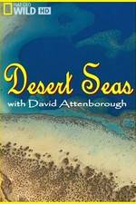 Watch Desert Seas Megavideo