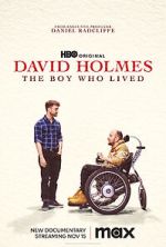 Watch David Holmes: The Boy Who Lived Megavideo