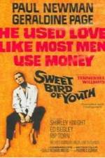 Watch Sweet Bird of Youth Megavideo