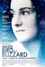 Watch White Bird in a Blizzard Megavideo